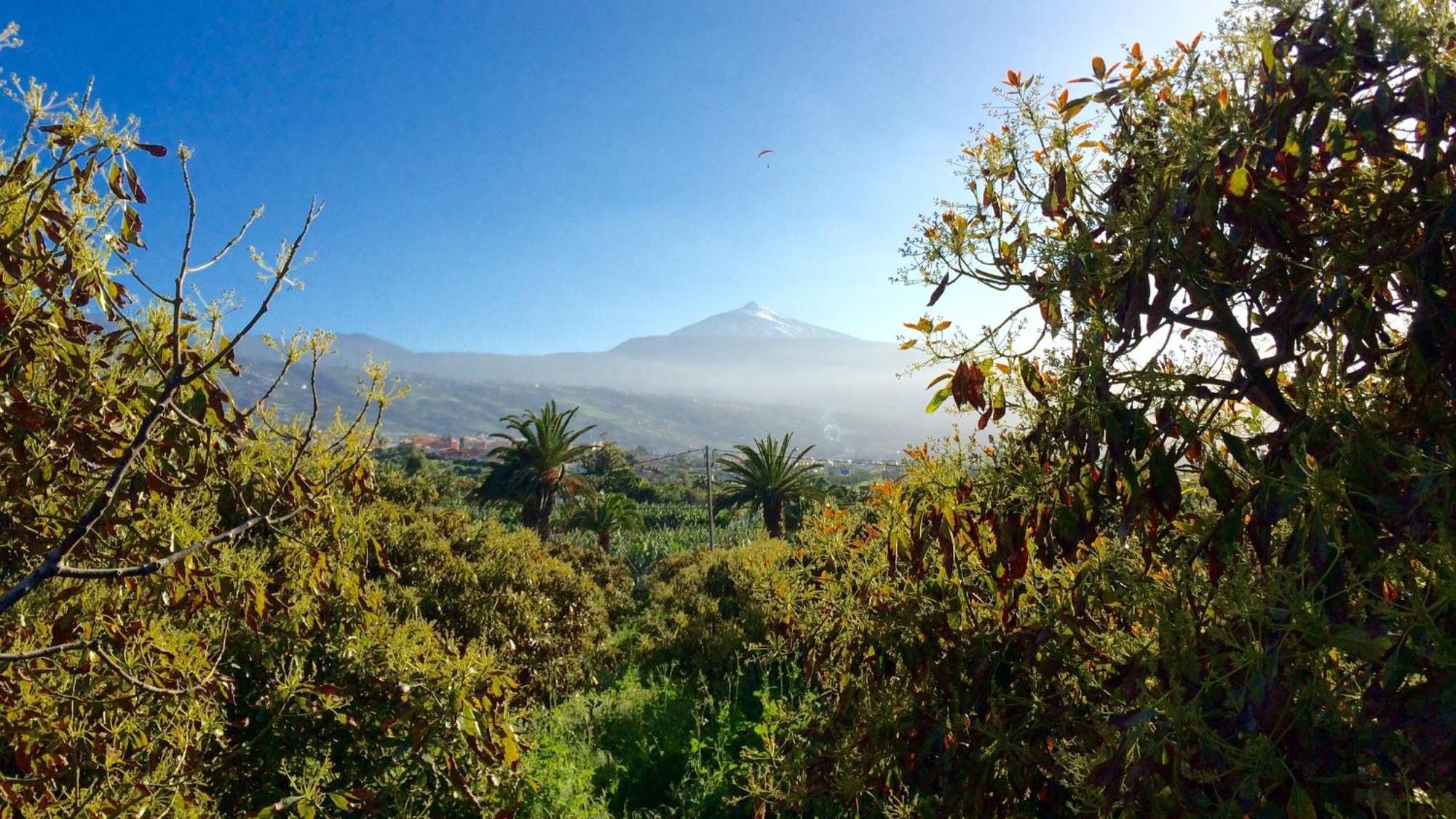 La Plantación _agroturismo Casa de Férias *