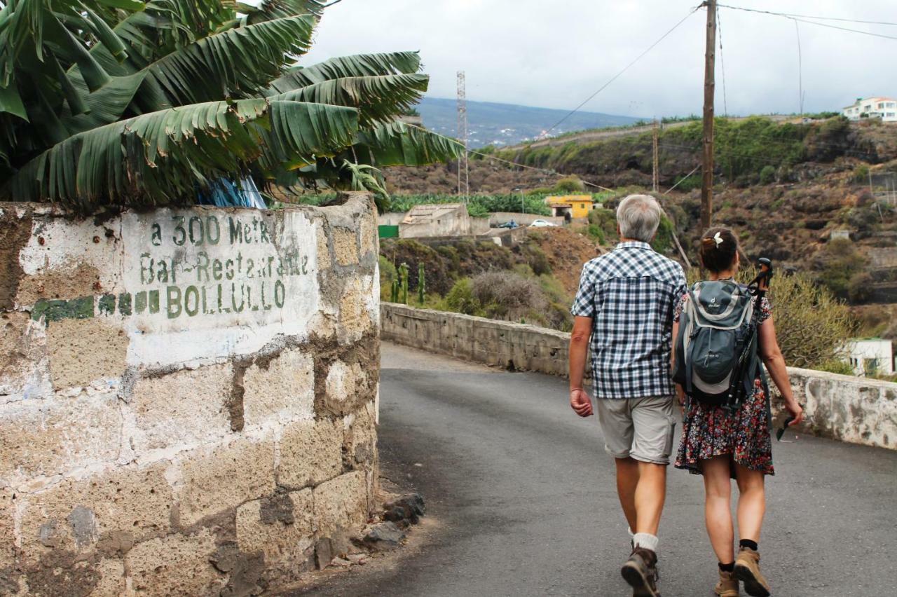 Casa de Férias La Plantación _agroturismo