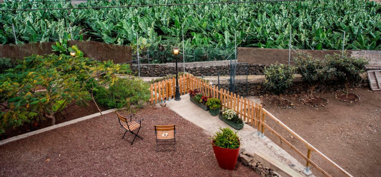 La Plantación _agroturismo *