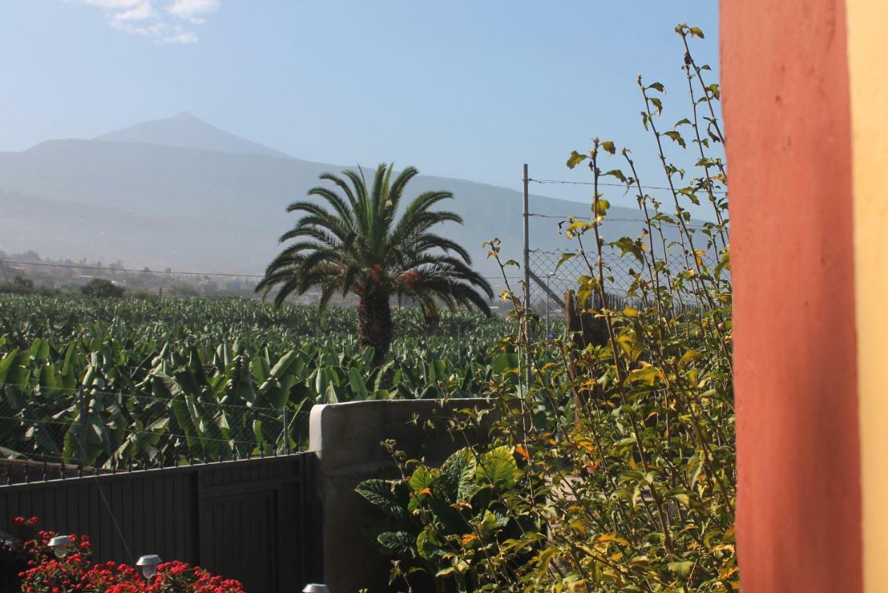 La Plantación _agroturismo