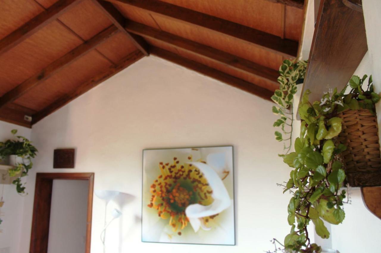 La Plantación _agroturismo * La Orotava