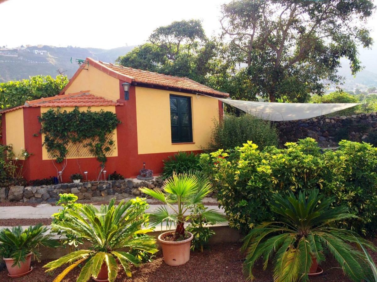 La Plantación _agroturismo * La Orotava