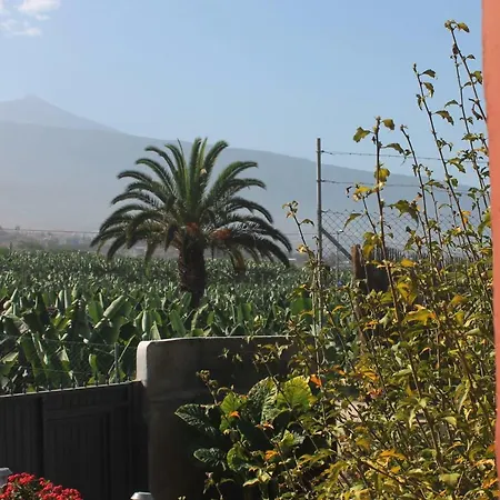 Finca La Plantacion _Agroturismo La Orotava Buitenkant foto