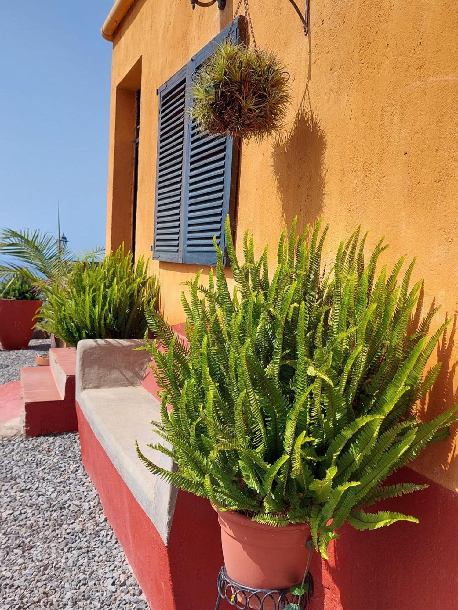 La Plantacion _agroturismo Ferienhaus
