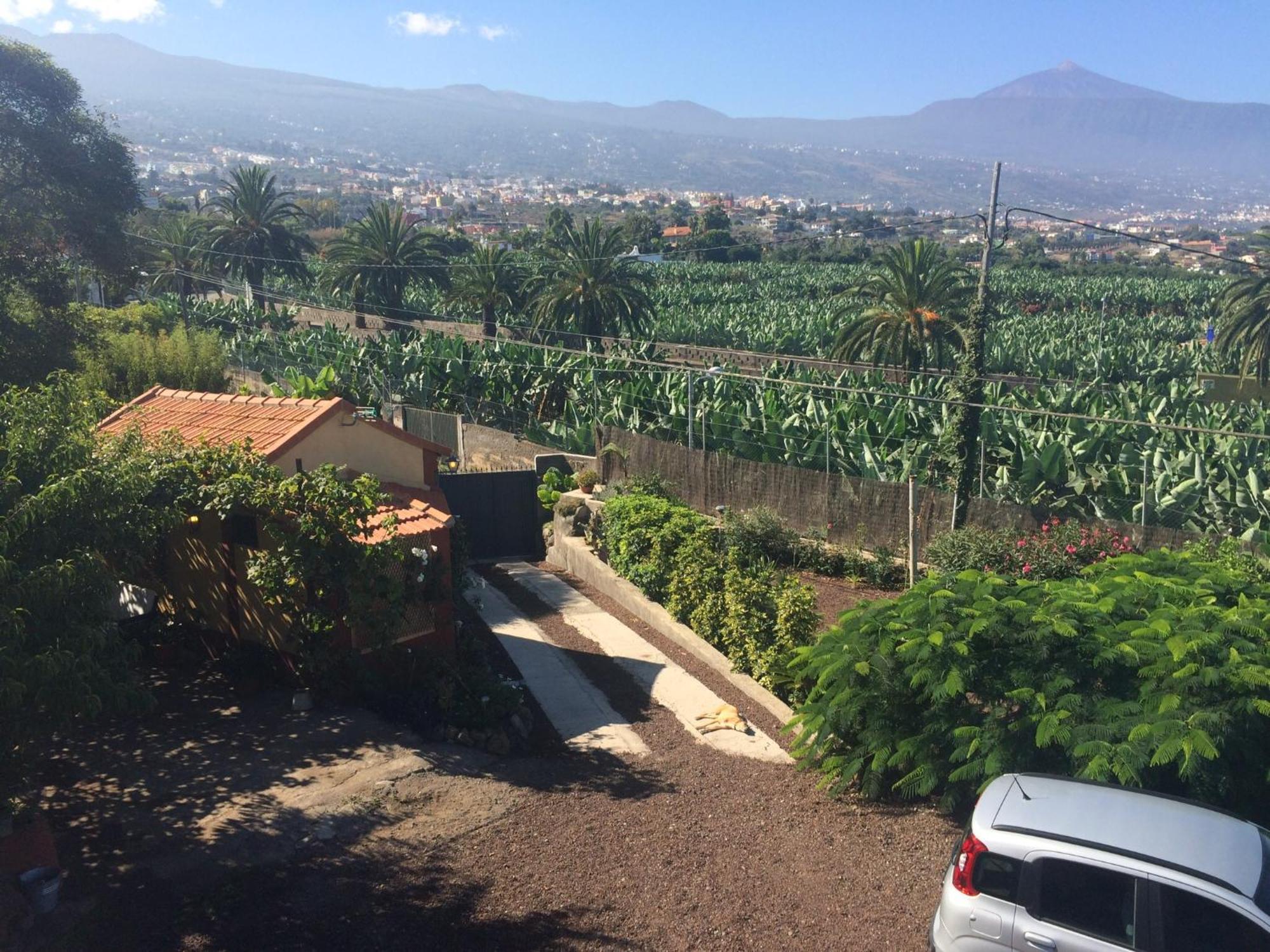 Ferienhaus La Plantacion _agroturismo La Orotava