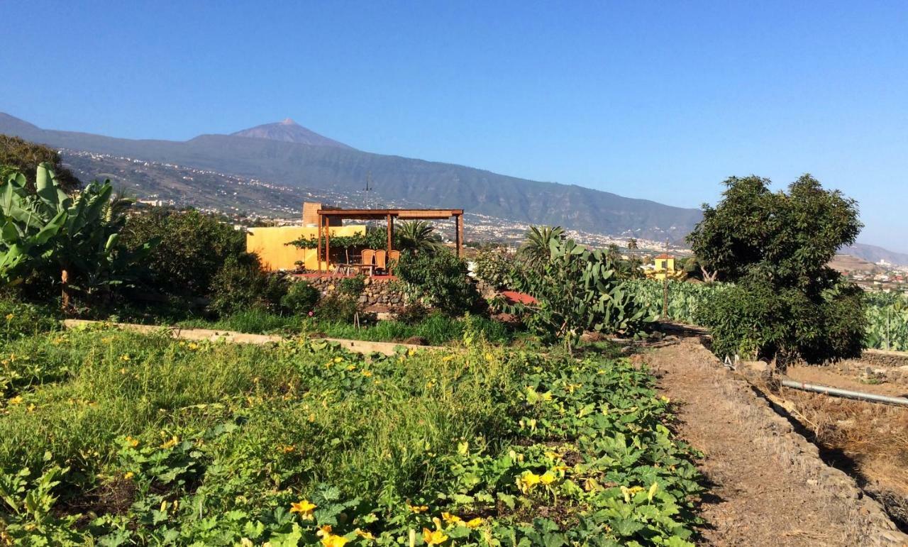 Ferienhaus La Plantacion _agroturismo *