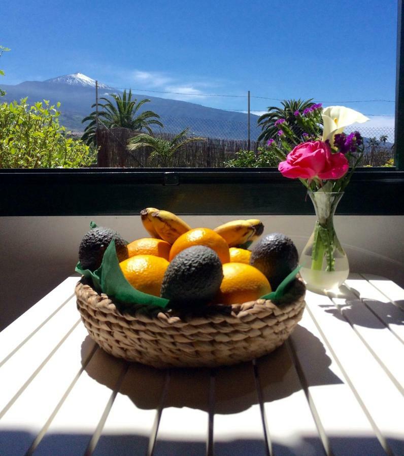 La Plantacion _agroturismo Ferienhaus